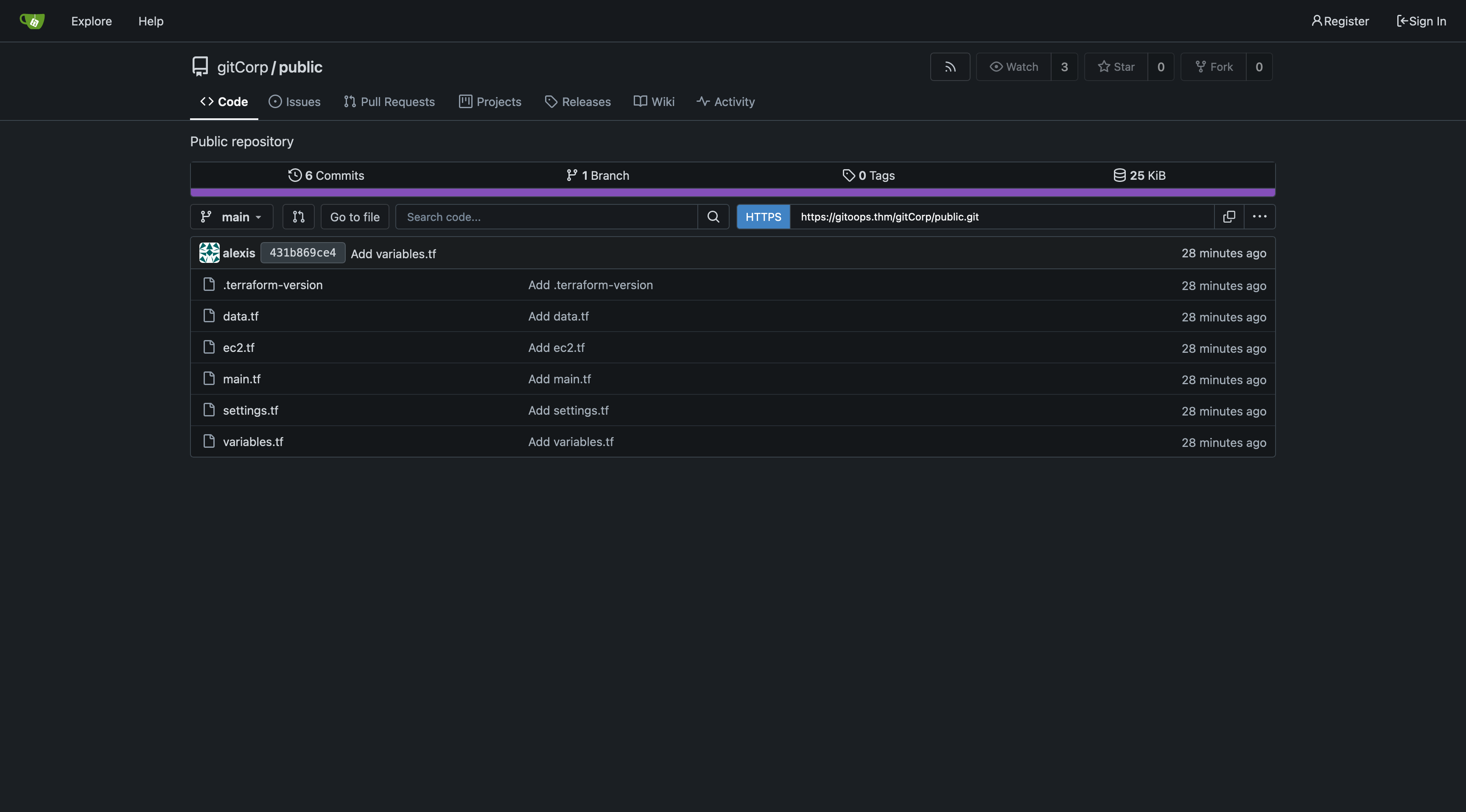 gitea gitCorp/public repository