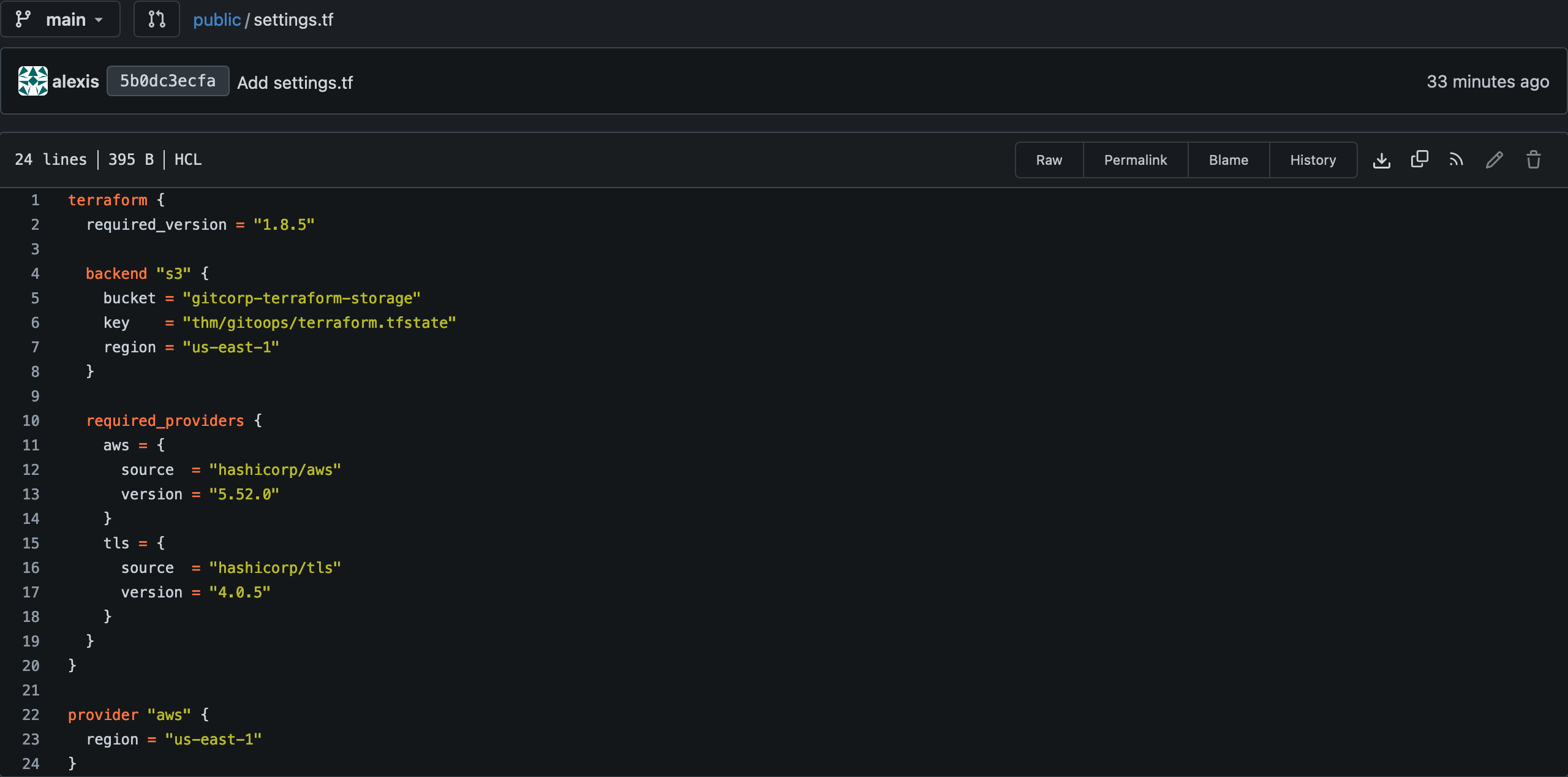 gitea public repository settings.tf
